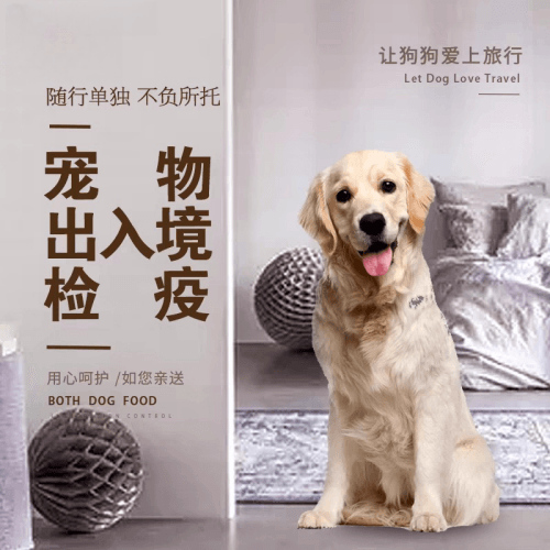 崇明区宠物托运到哥伦比亚猫狗宠物入境规定和