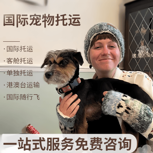 崇明区国际宠物托运到阿根廷宠物入境规定和要