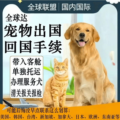 崇明区宠物托运到柬埔寨宠物入境规定和要求