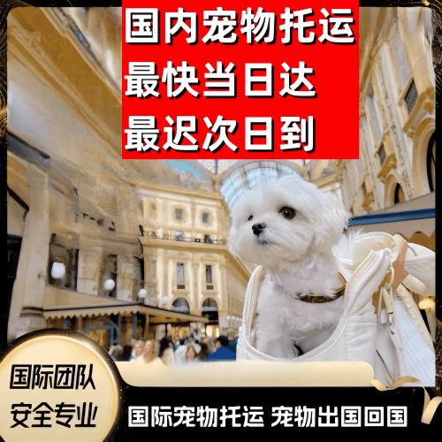 崇明区到澳大利亚（澳洲）宠物入境规定和要求
